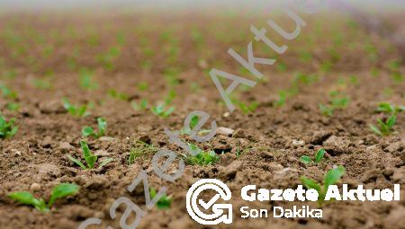 12.12 saat anlamı