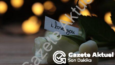 11 Tane Beyaz Gülün Anlamı