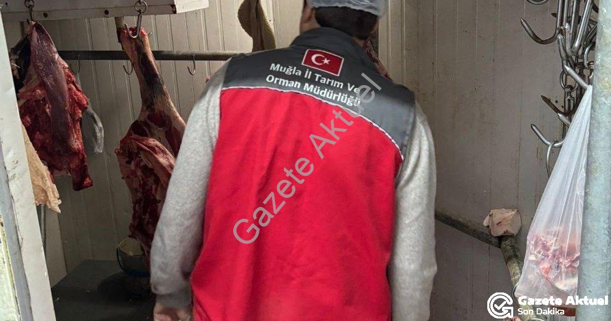 "Menteşe’de Gıda Güvenliği İçin Dev Denetim: Kasaplar Mercek Altında" başlıklı haber için fotorealis