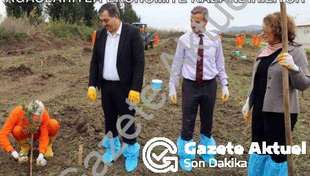 Dalaman Açık Cezaevi Arazisi Sakız Ağaçlarıyla Ekonomiye Kazandırılıyor