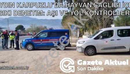 Aydın Karpuzlu’da Hayvan Sağlığı İçin Sıkı Denetim: Aşı ve Yol Kontrolleri