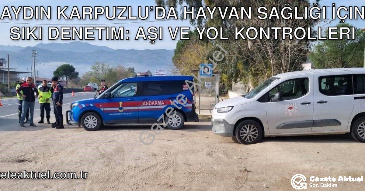 "Aydın Karpuzlu’da Hayvan Sağlığı İçin Sıkı Denetim: Aşı ve Yol Kontrolleri" başlıklı haber için fot