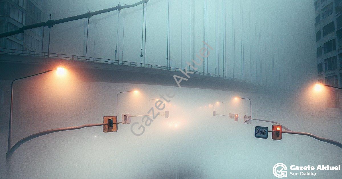 "Denizli'de Yoğun Sis Kabusu: Görüş Mesafesi 10 Metreye Kadar Düştü" başlıklı haber için fotorealist