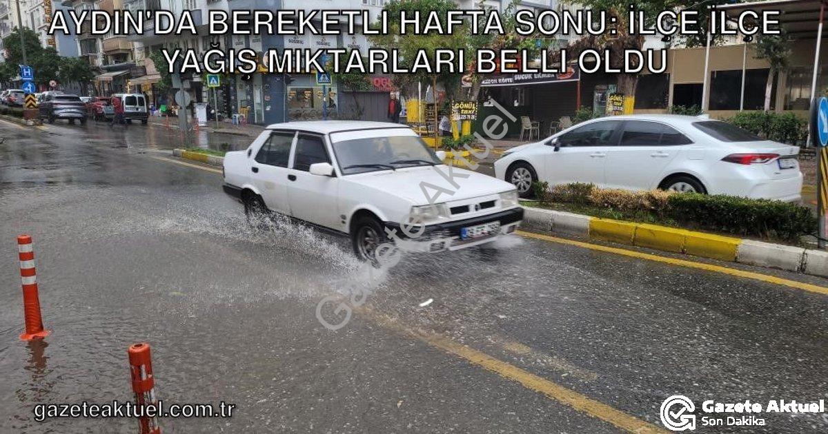 "Aydın'da Bereketli Hafta Sonu: İlçe İlçe Yağış Miktarları Belli Oldu" başlıklı haber için fotoreali