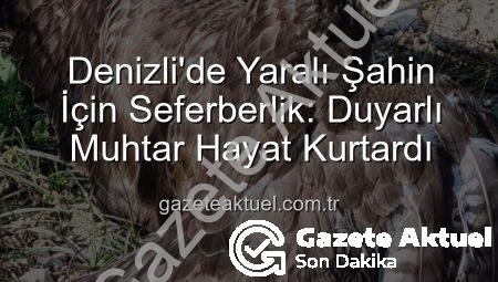 Denizli’de Yaralı Şahin İçin Seferberlik: Duyarlı Muhtar Hayat Kurtardı