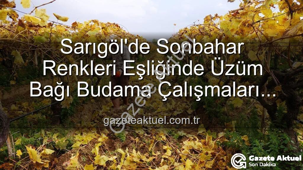 üzüm bağı budama - Sarıgöl'de Sonbahar Renkleri Eşliğinde Üzüm Bağı Budama Çalışmaları Başladı: Manzara Nefes Kesiyor!