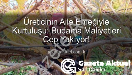 Üreticinin Aile Emeğiyle Kurtuluşu: Budama Maliyetleri Cep Yakıyor!