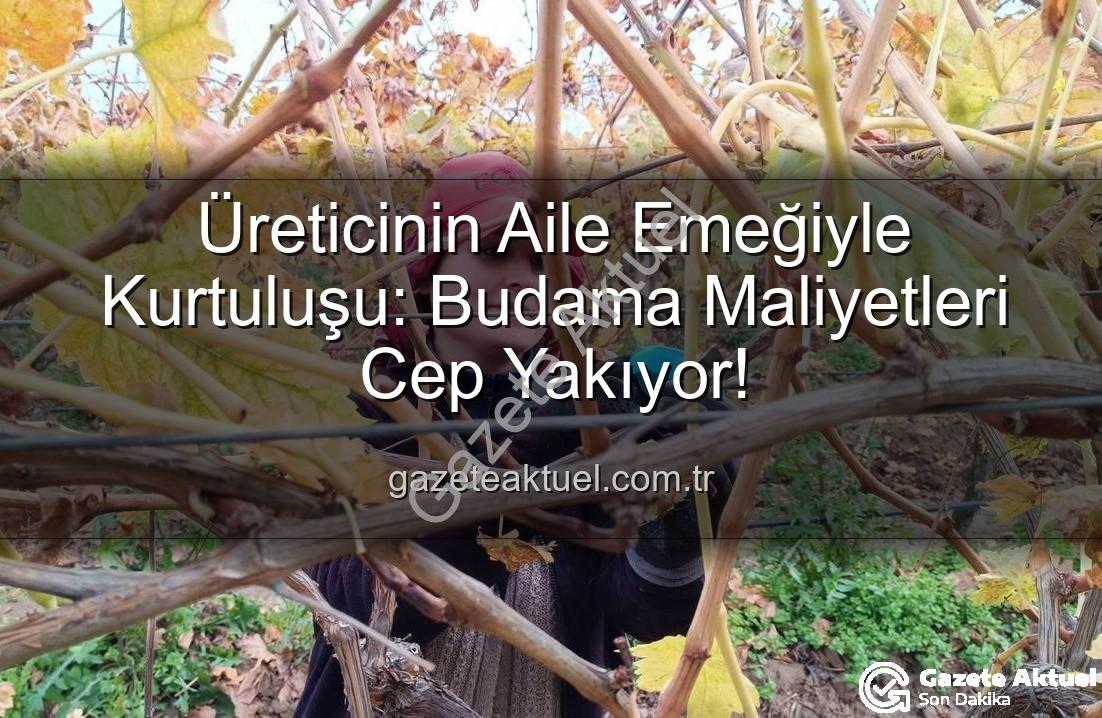 budama maliyeti - Üreticinin Aile Emeğiyle Kurtuluşu: Budama Maliyetleri Cep Yakıyor!