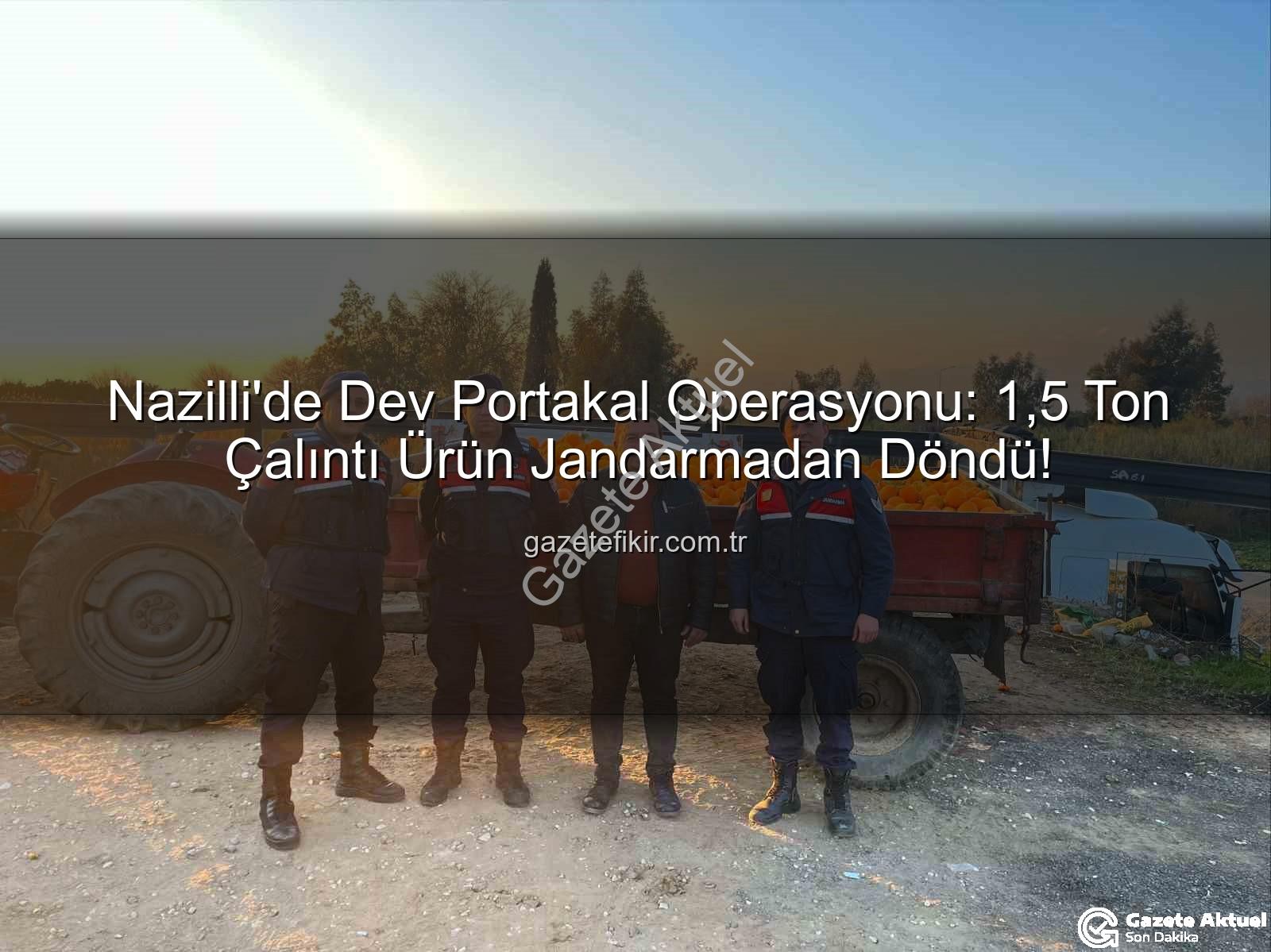 portakal hırsızlığı - Nazilli'de Dehşete Düşüren Portakal Hırsızlığı: Jandarma 1.5 Tonluk Vurgunu Önledi, Şüpheliler Yakalandı