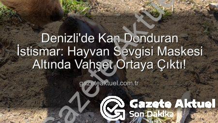 Denizli’de Kan Donduran İstismar: Hayvan Sevgisi Maskesi Altında Vahşet Ortaya Çıktı!