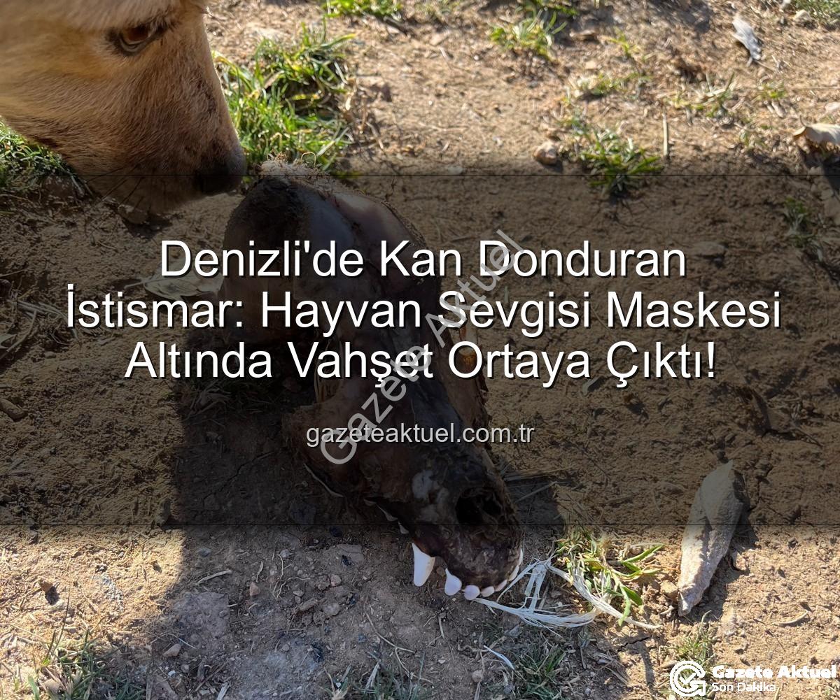 Denizli'de Kan Donduran İstismar: Hayvan Sevgisi Maskesi Altında Vahşet Ortaya Çıktı!