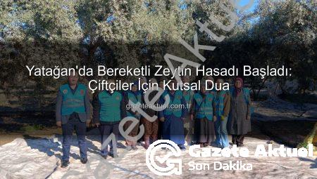 Yatağan’da Bereketli Zeytin Hasadı Başladı: Çiftçiler İçin Kutsal Dua