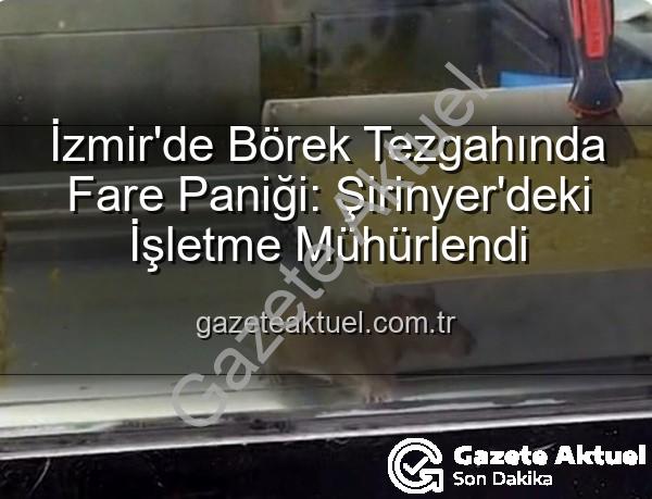 İzmir börekçi fare - İzmir'de Börek Tezgahında Fare Paniği: Şirinyer'deki İşletme Mühürlendi