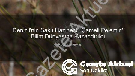 Denizli’nin Saklı Hazinesi: ‘Çameli Pelemiri’ Bilim Dünyasına Kazandırıldı