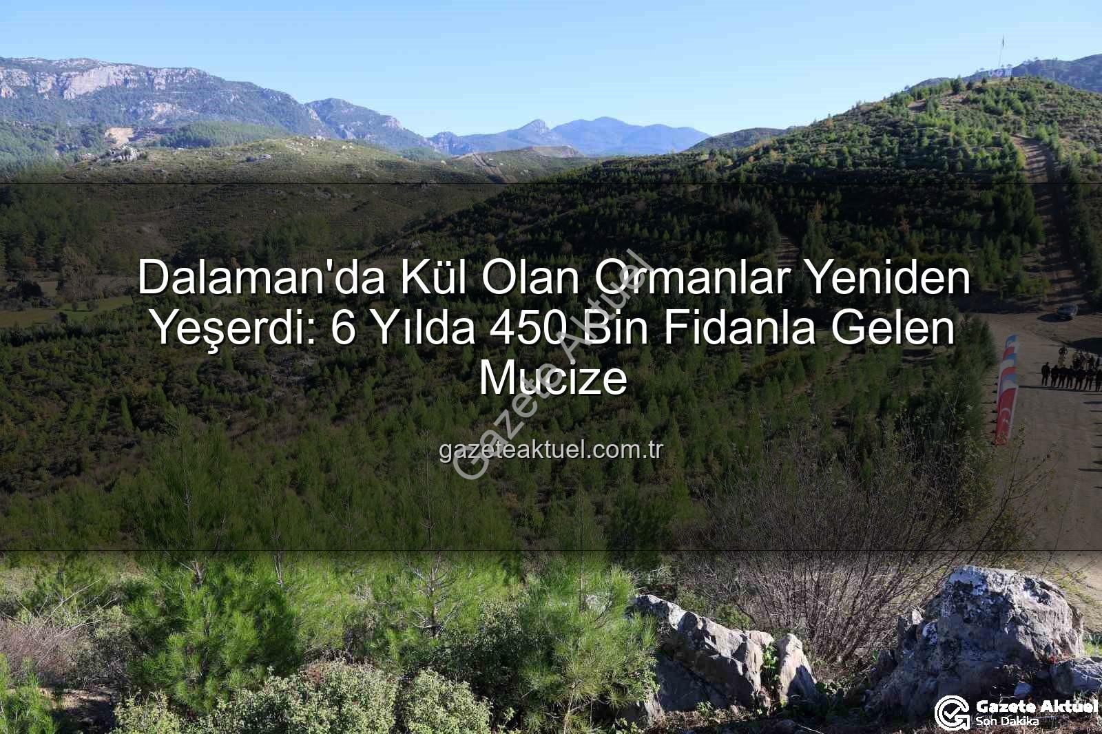 dalaman yanan ormanlar - Dalaman'da Kül Olan Ormanlar Yeniden Yeşerdi: 6 Yılda 450 Bin Fidanla Gelen Mucize