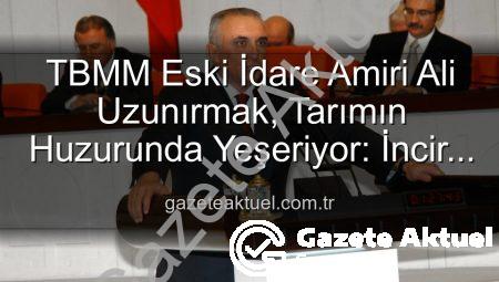 TBMM Eski İdare Amiri Ali Uzunırmak, Tarımın Huzurunda Yeşeriyor: İncir Bahçelerinde Yeni Bir Dönem